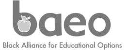 BAEO logo